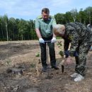 Гослесагентство высаживает лес больше, чем вырубает — официально