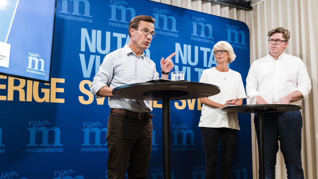 Парламентские выборы Швеции: антимигрантская партия заняла третье место