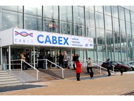Второй Всероссийский кабельный конгресс пройдет в рамках выставки Cabex 2019