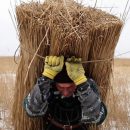 "Дельта" и прекрасная тяжесть бытия: о победителе национального конкурса ОМКФ