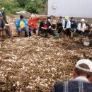 В Украине появится первый семенной завод чеснока