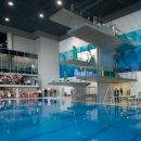 Чемпионат Европы по прыжкам в воду в 2019 году пройдет в Киеве Чемпионат Европы по прыжкам в воду в 2019 году пройдет в Киеве