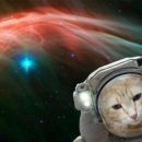 NASA выпустило шуточное приложение для селфи в космосе NASA выпустило шуточное приложение для селфи в космосе