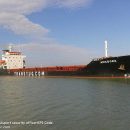 Береговая охрана России задержала украинское судно в Азовском море Береговая охрана России задержала украинское судно в Азовском море