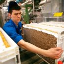 Японская компания Japan Tobacco покупает «Донской табак» за 1,6 млрд долларов Японская компания Japan Tobacco покупает «Донской табак» за 1,6 млрд долларов