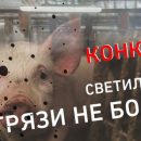 МГК «Световые Технологии» проводит конкурс фотографий
