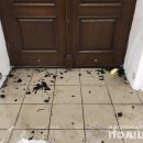 За коктейли Молотова под Андреевской церковью преступники могут получить до 10 лет За коктейли Молотова под Андреевской церковью преступники могут получить до 10 лет